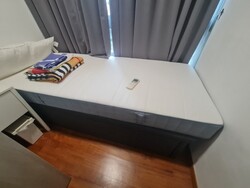 TRE Residences (D14), Condominium #450211931